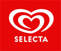 selecta - electronic invoice processing